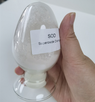 ความบริสุทธิ์ 99% วัสดุเครื่องสำอาง SOD Superoxide Dismutase White Powder