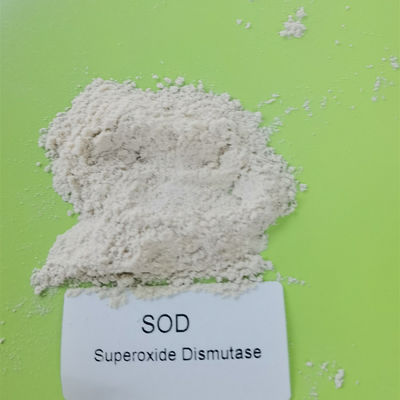 99% CAS 9054-89-1 Superoxide Dismutase ในเครื่องสำอาง