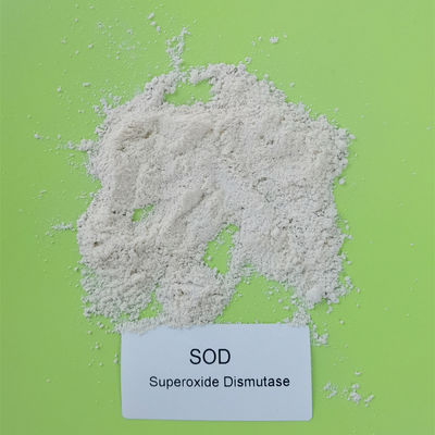 ความบริสุทธิ์สูง SOD Superoxide Dismutase CAS 9054 89 1