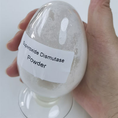 วัตถุดิบเกรดอาหาร Superoxide Dismutase Powder PH 4-11
