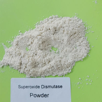วัตถุดิบเกรดอาหาร Superoxide Dismutase Powder PH 4-11
