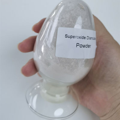 กรดและด่างทน 99% Superoxide Dismutase Powder 9054 89 1